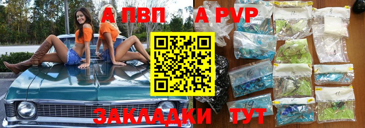 Альфа ПВП СК Дубна