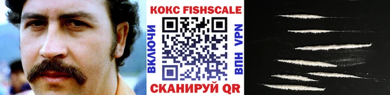 COCAIN Эквадор  где купить наркоту  Дубна 