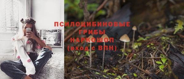 молекула духа Анжеро-Судженск