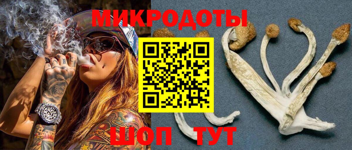 Галлюциногенные грибы мухоморы Дубна