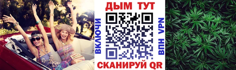 где можно купить   Дубна  Бошки марихуана ГИДРОПОН 